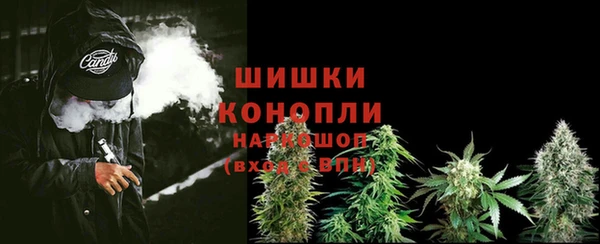 ПСИЛОЦИБИНОВЫЕ ГРИБЫ Баксан