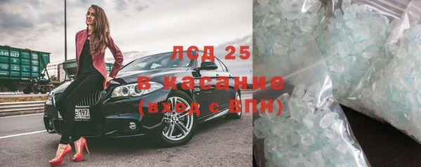 ПСИЛОЦИБИНОВЫЕ ГРИБЫ Баксан