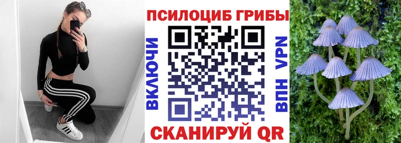 наркотики Колпашево Псилоцибиновые грибы Magic Shrooms